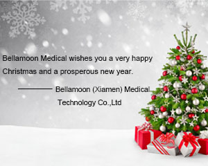 Bellamoon (Xiamen) Medical Technology Co., Ltd. Weihnachts-Teambuilding-Aktivität